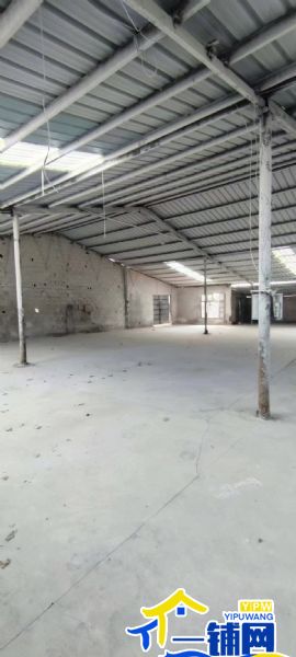 �޳����²���700ƽ����ʵ��ͼƬ